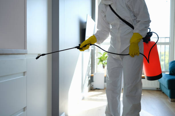 Best DIY Mold Remediation Support Services in Warrensville Heights, OH